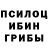 Псилоцибиновые грибы прущие грибы Poweriser