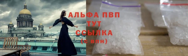 СК Абинск