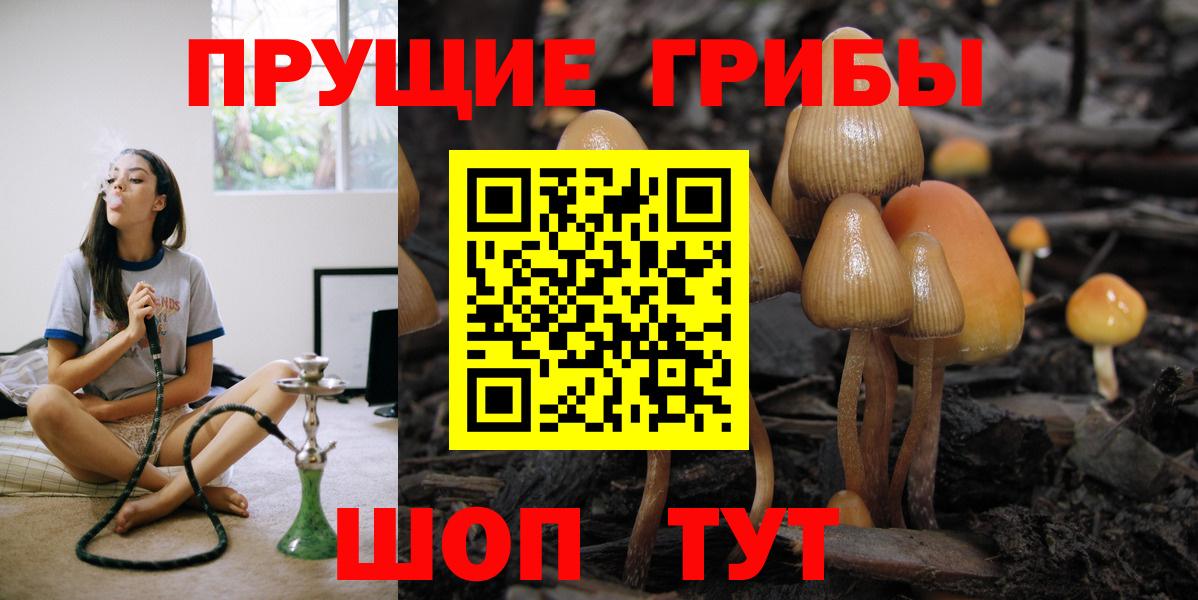 Галлюциногенные грибы Cubensis  Вход с VPN  Великий Новгород 